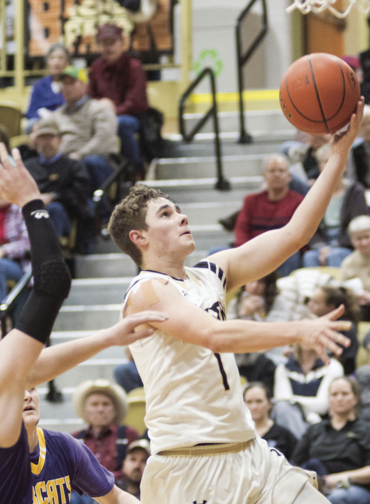 Bison destroy Bobcats 1